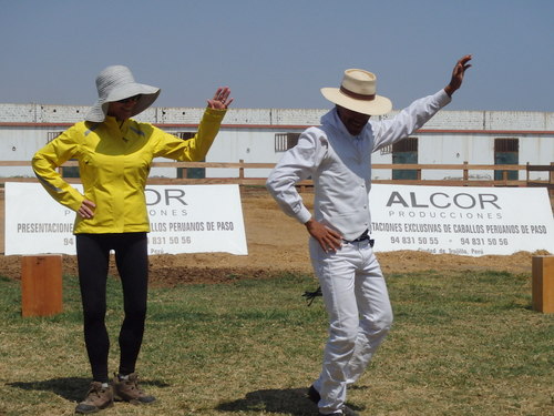 Peruvian Step Horse Show.